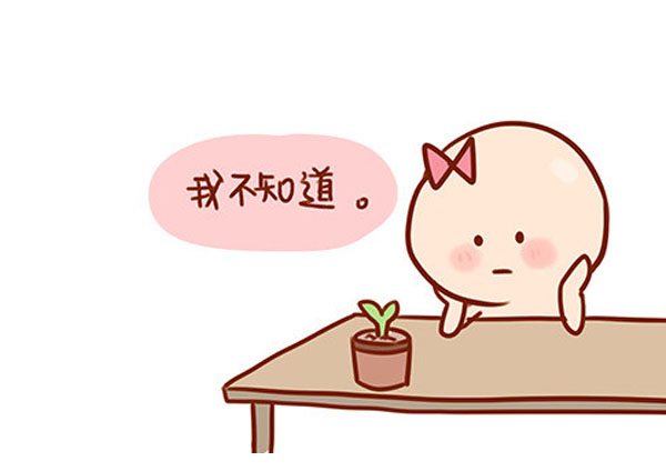 硅藻泥装修