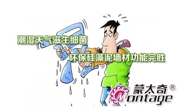 潮湿天气滋生细菌 环保硅藻泥墙材功能完胜　