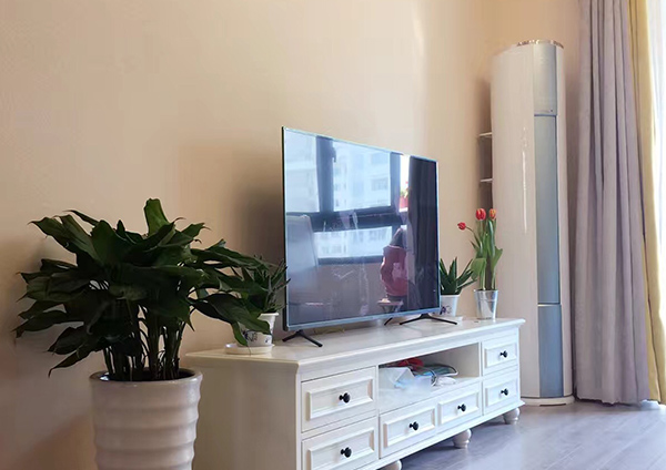 硅藻泥内墙涂料  赢得消费者的青睐