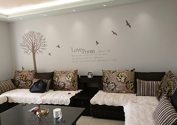 揭开硅藻泥硅藻土的“神秘面纱”